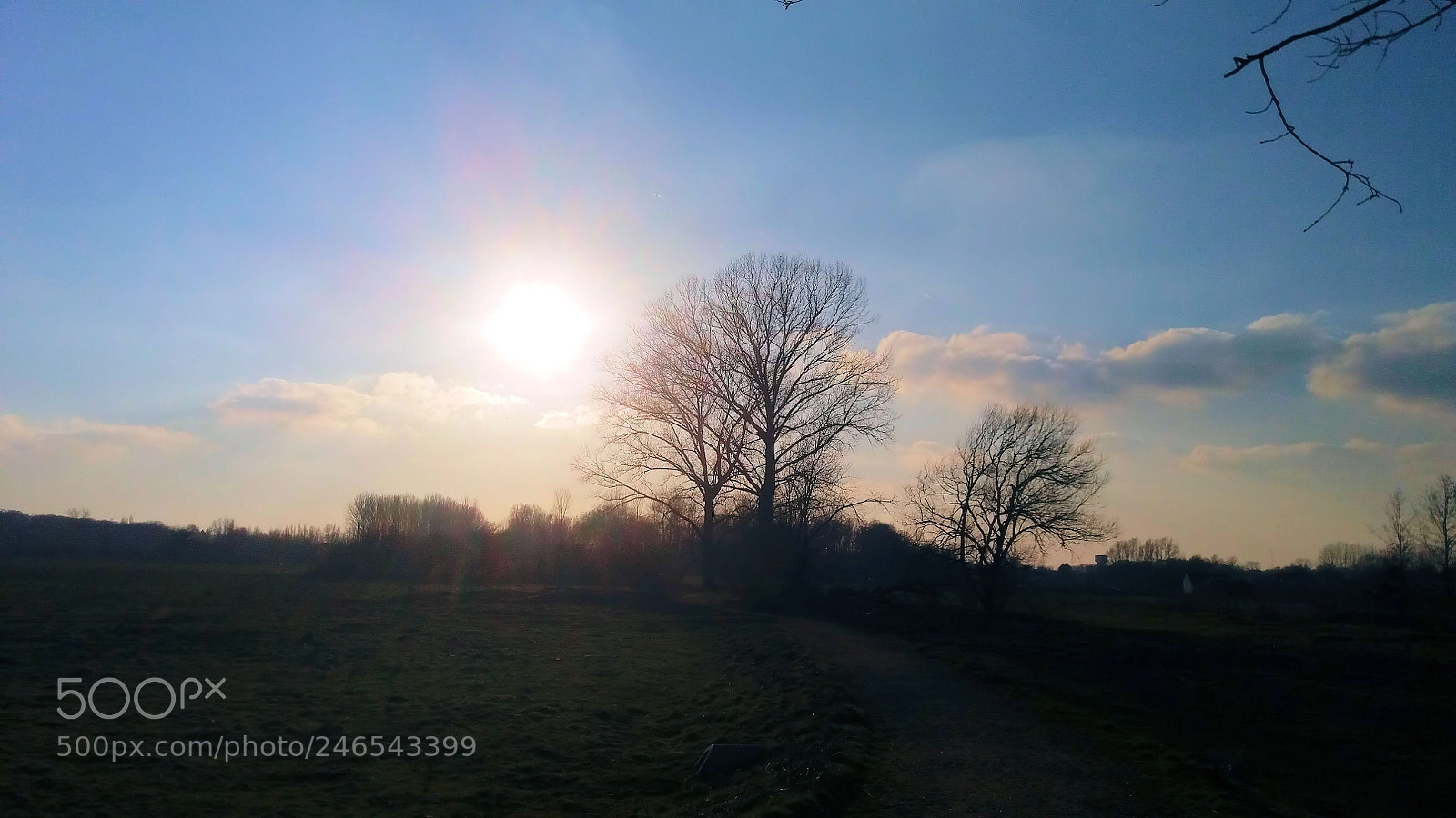 Samsung Galaxy J5 sample photo. Gentbrugse meersen photography