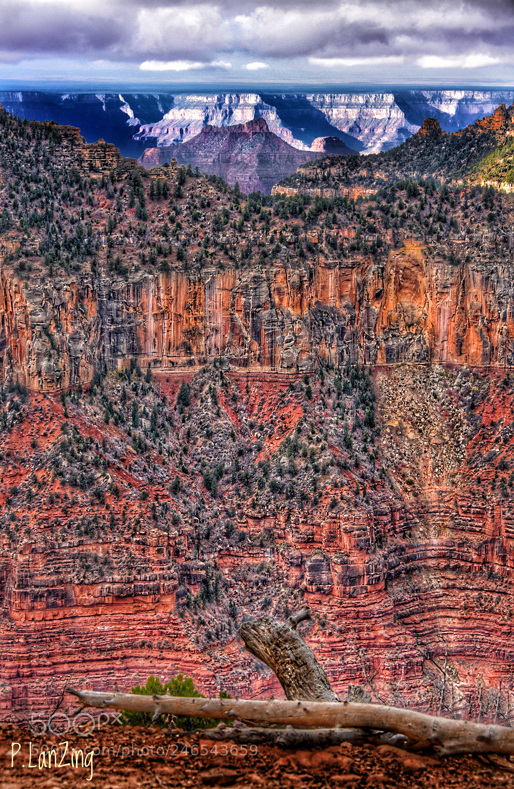 Nikon D810 sample photo. From the north rim... photography
