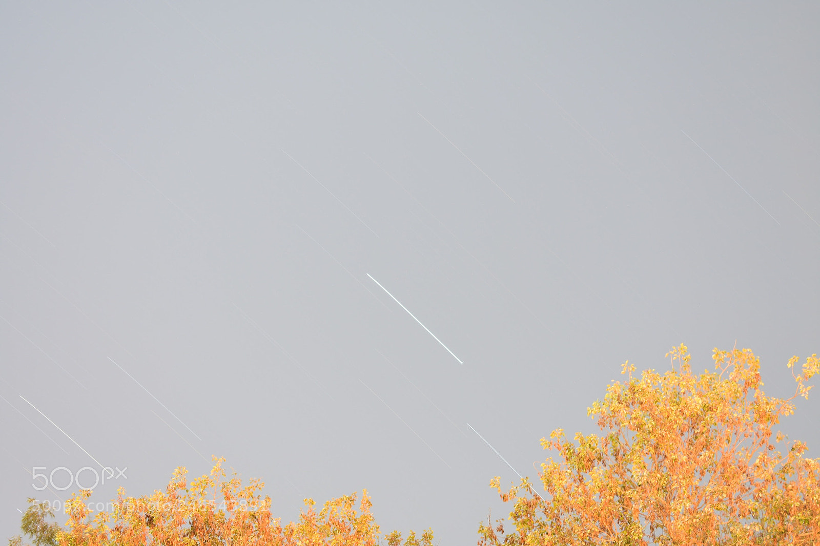 Nikon D3400 sample photo. Night sky photography
