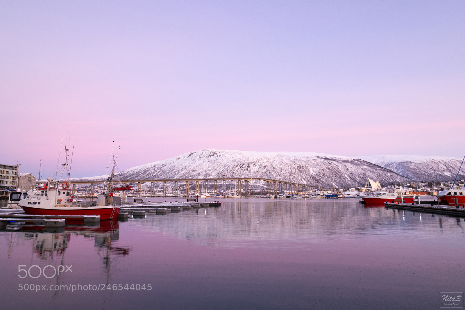 Olympus OM-D E-M1 Mark II sample photo. Tromso's evening photography