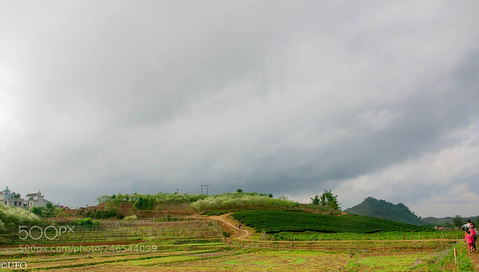 Canon EOS 40D sample photo. Way to go back photography