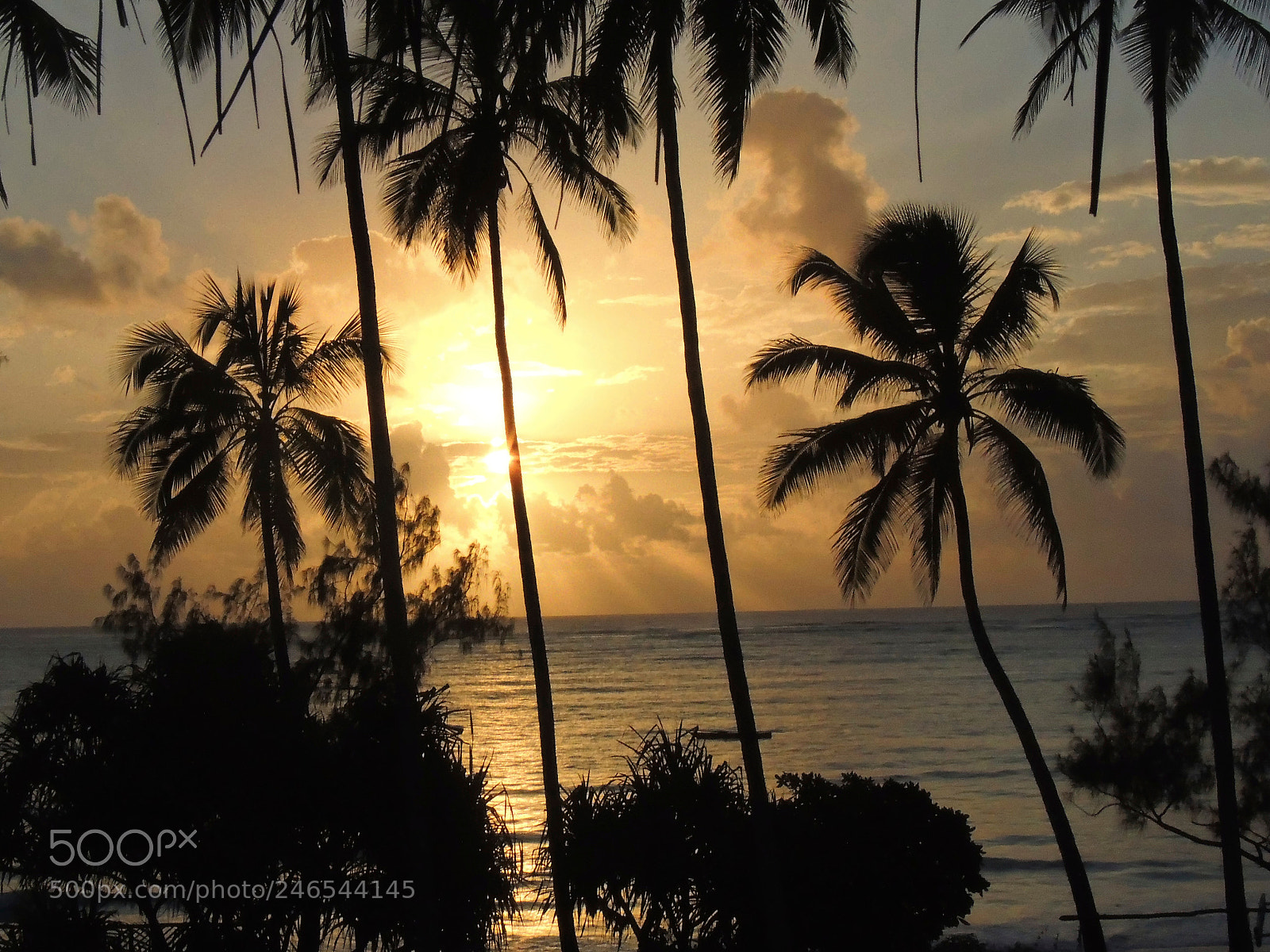 Nikon Coolpix P510 sample photo. Good morning zanzibar photography