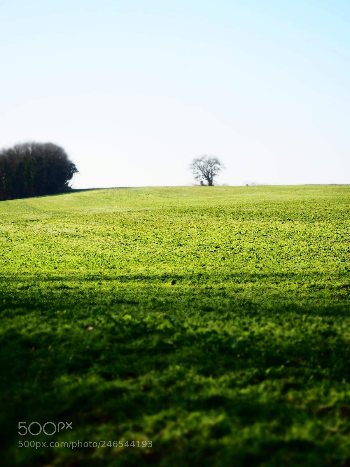 Olympus OM-D E-M10 sample photo. Campaign photography