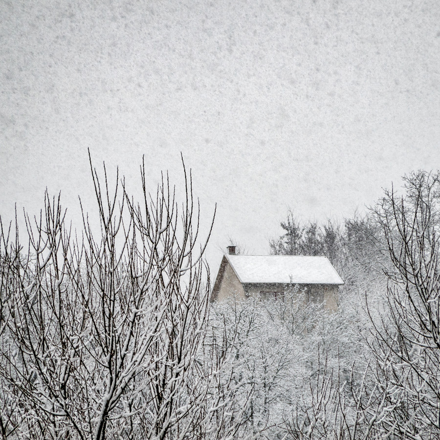 Pentax K-S2 sample photo. Hidden photography