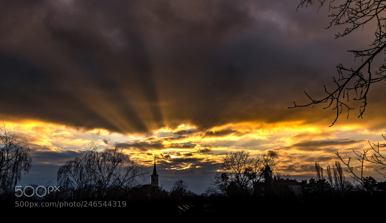 Nikon D610 sample photo. Todays sunset photography