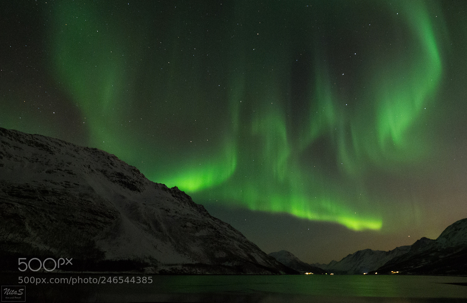 Olympus OM-D E-M1 Mark II sample photo. Our first northern lights photography