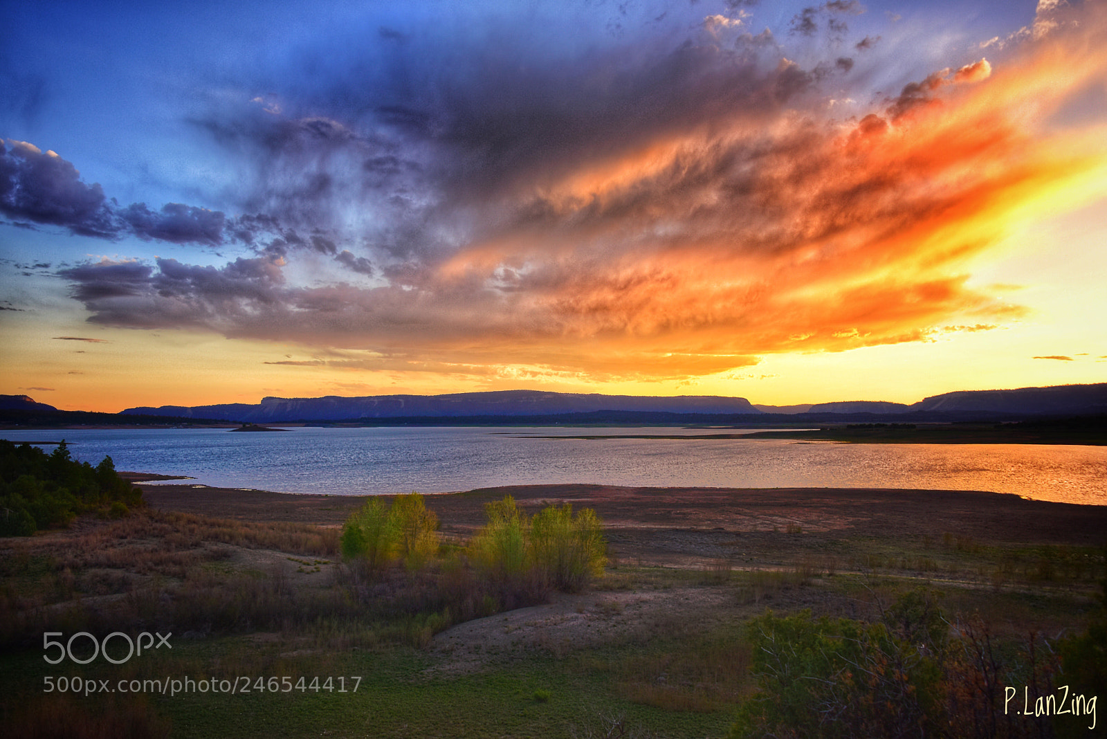 Nikon D810 sample photo. Heron lake photography