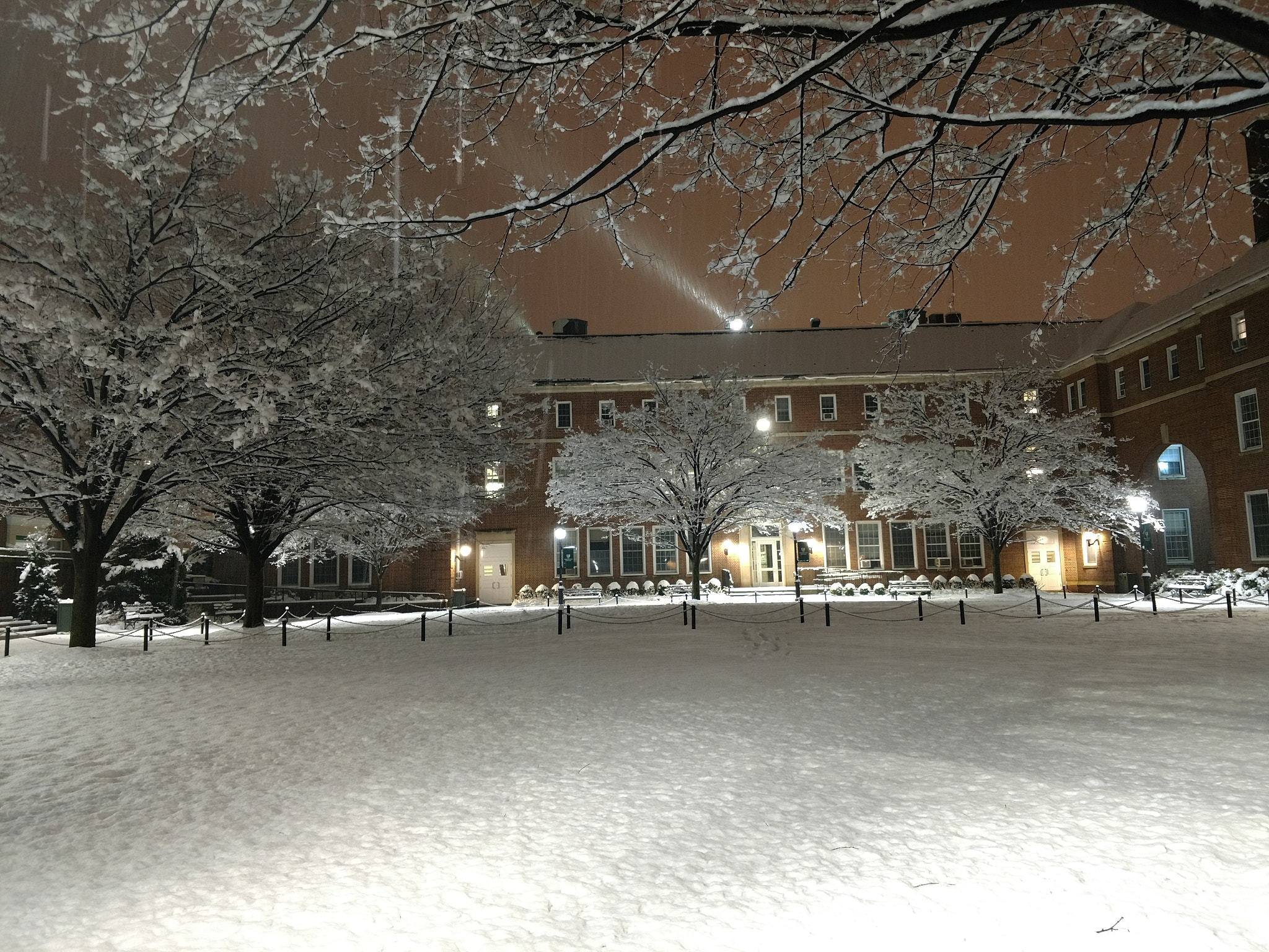 Motorola XT1650 sample photo. Snow in february photography