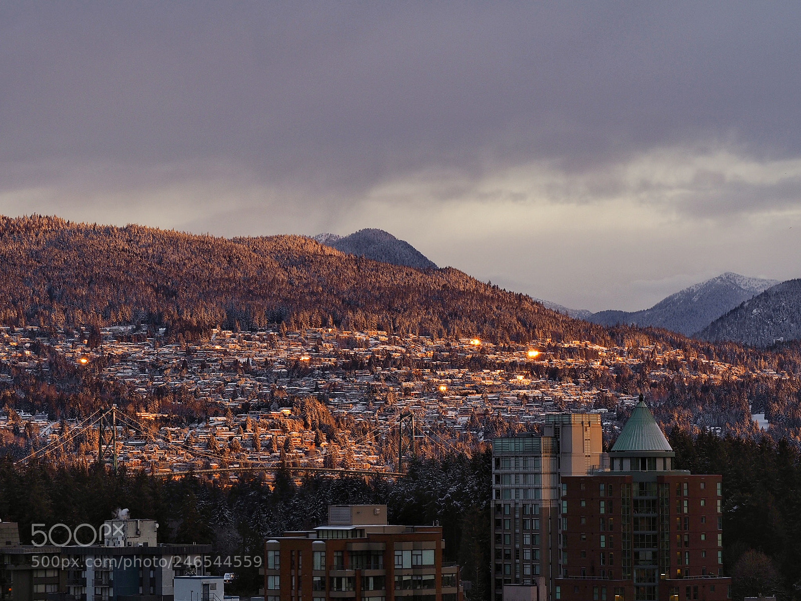 Olympus OM-D E-M5 II sample photo. Pleasant surprise photography