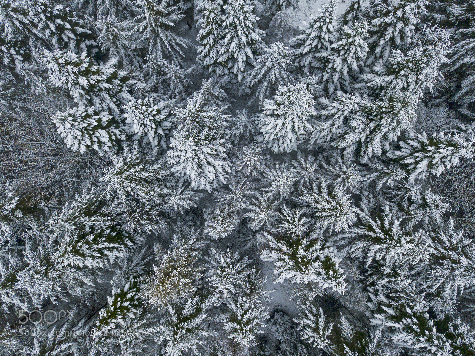 DJI FC220 sample photo. Schnee photography