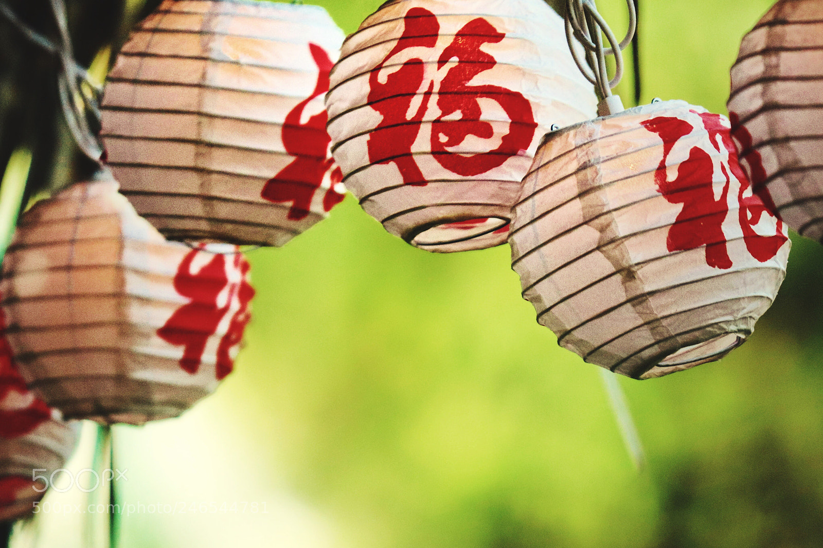 Canon EOS 800D (EOS Rebel T7i / EOS Kiss X9i) sample photo. Raise the red lanterns. photography