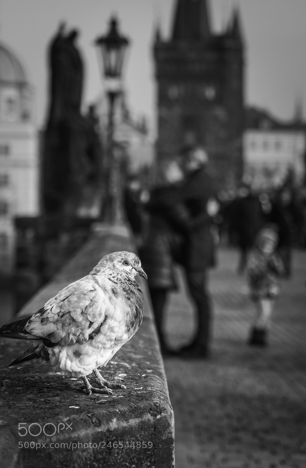 Sony a7R sample photo. Prague 6 photography