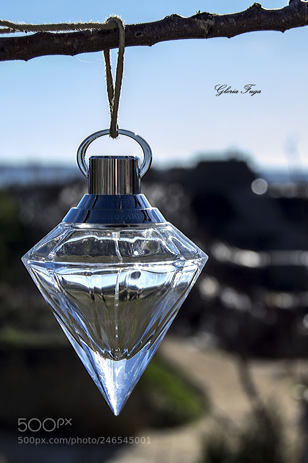 Nikon D3100 sample photo. Diamante photography