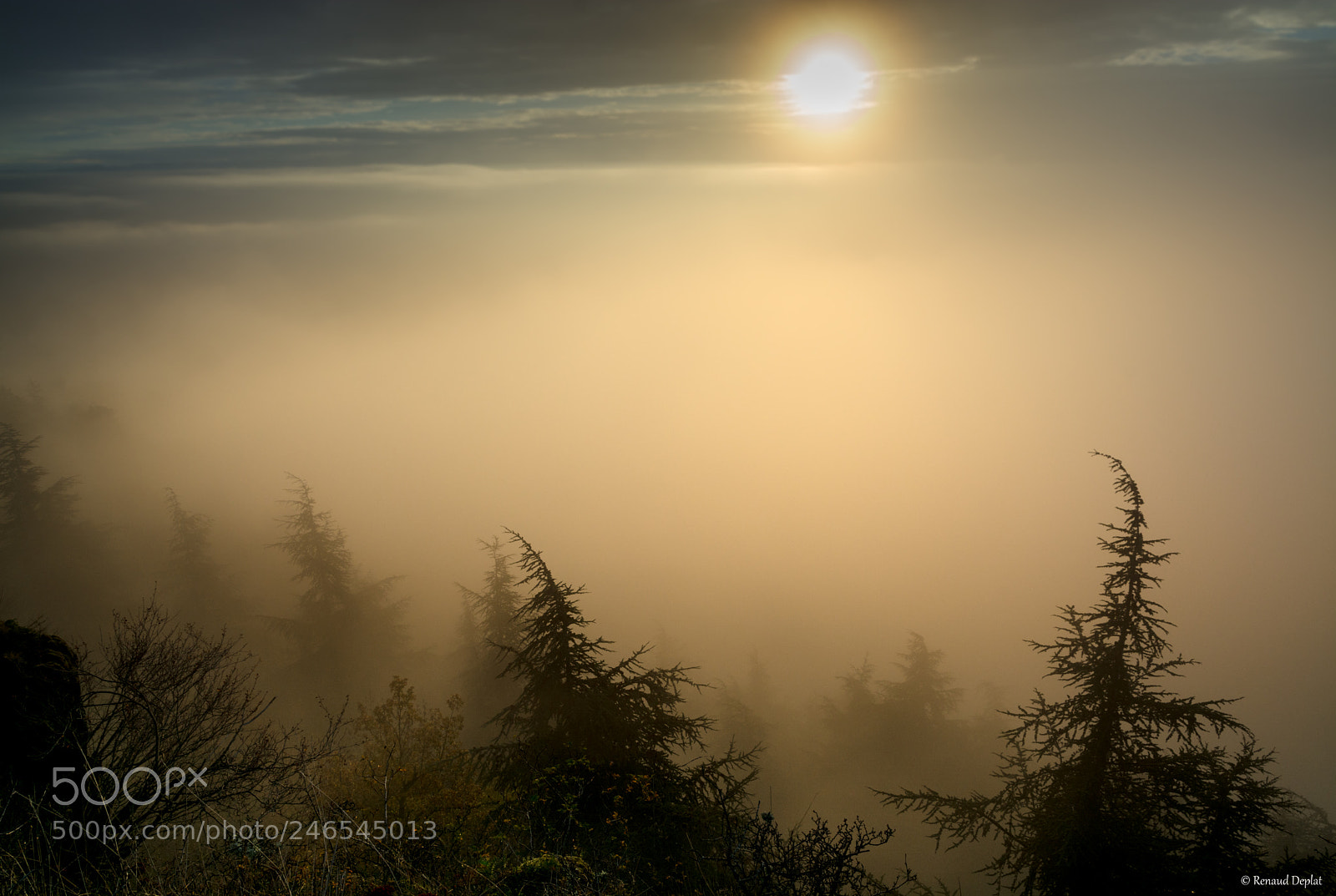 Nikon D7100 sample photo. Dans la brume... photography