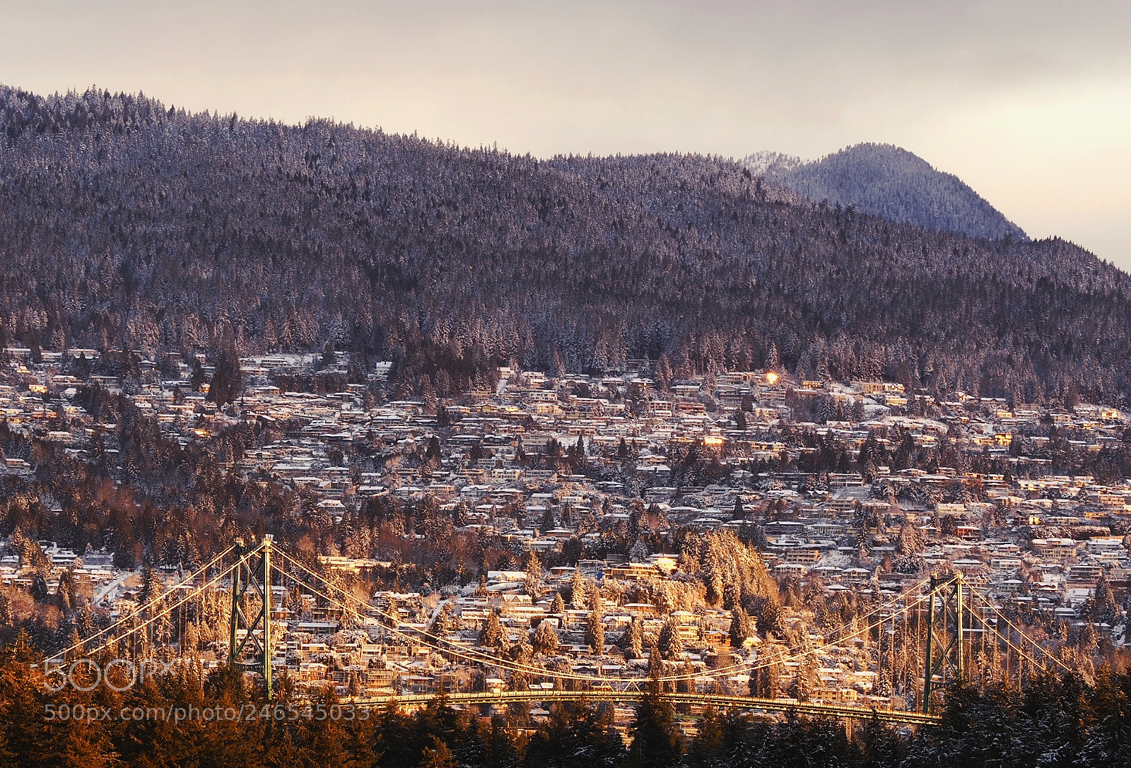 Olympus OM-D E-M5 II sample photo. Lionsgate bridge photography