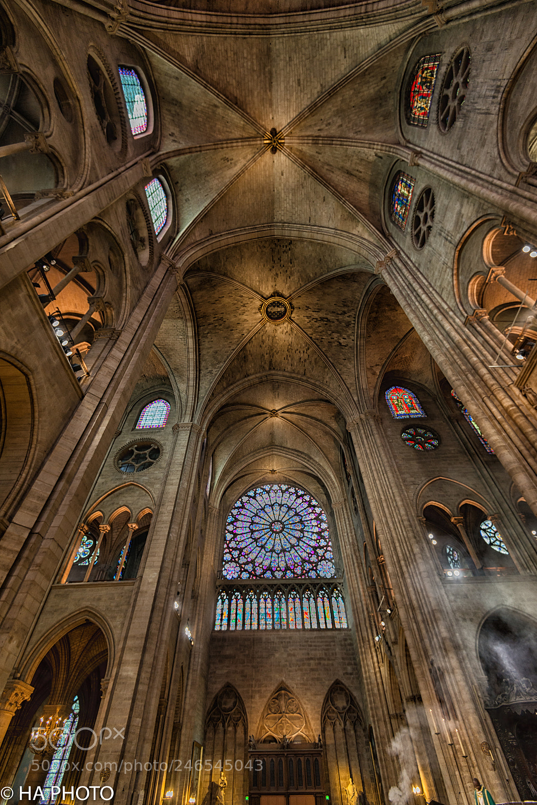 Nikon D800 sample photo. Notre-dame interior photography