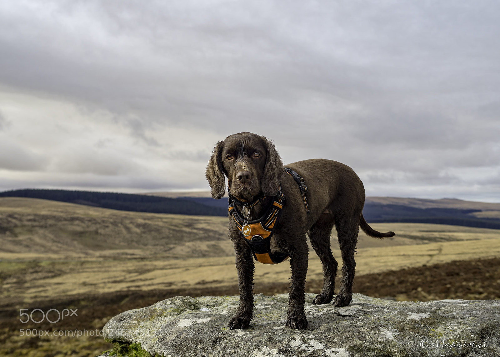 Olympus OM-D E-M1 Mark II sample photo. Aysha photography