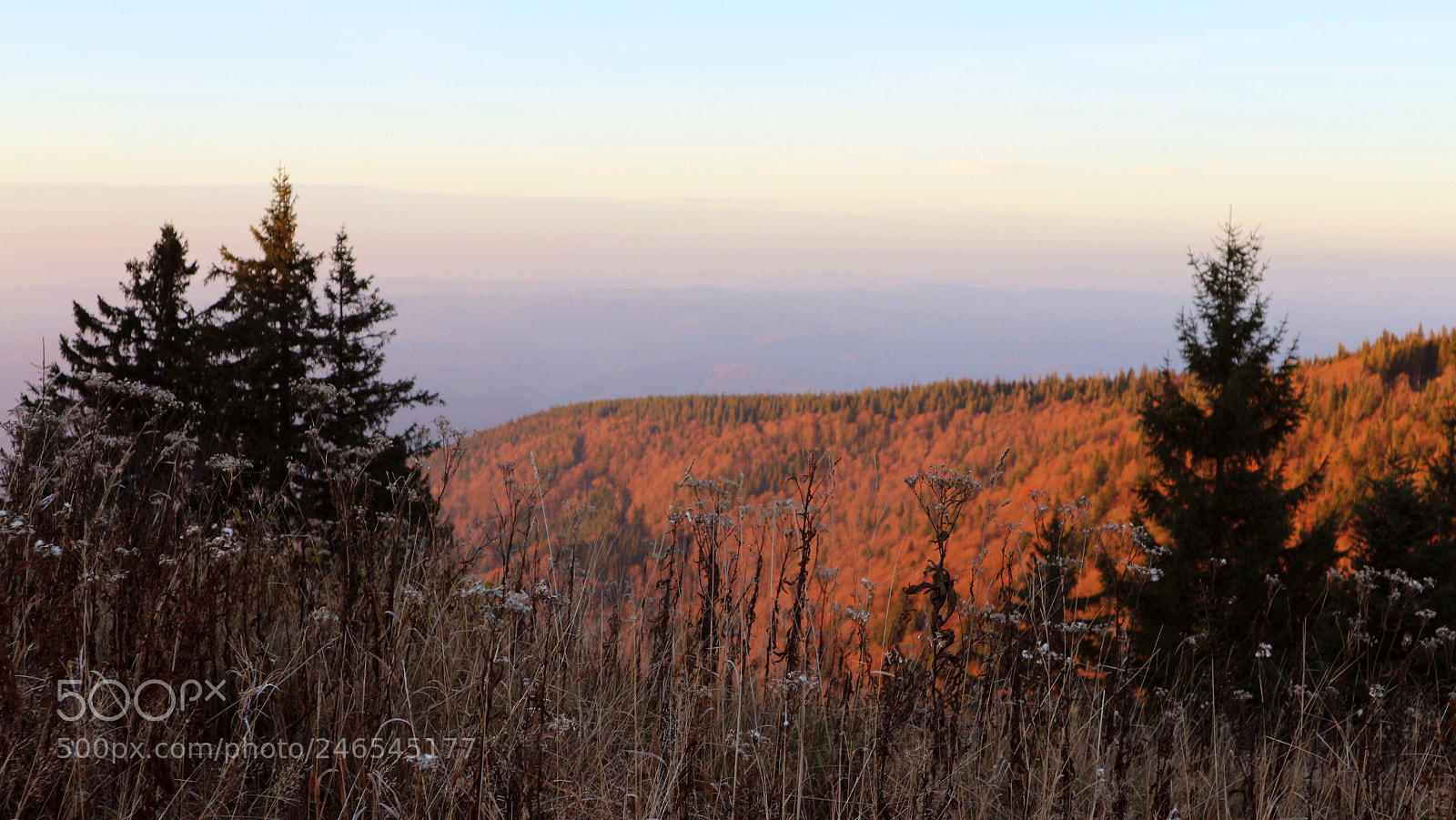 Canon EOS M10 sample photo. Cold morning photography