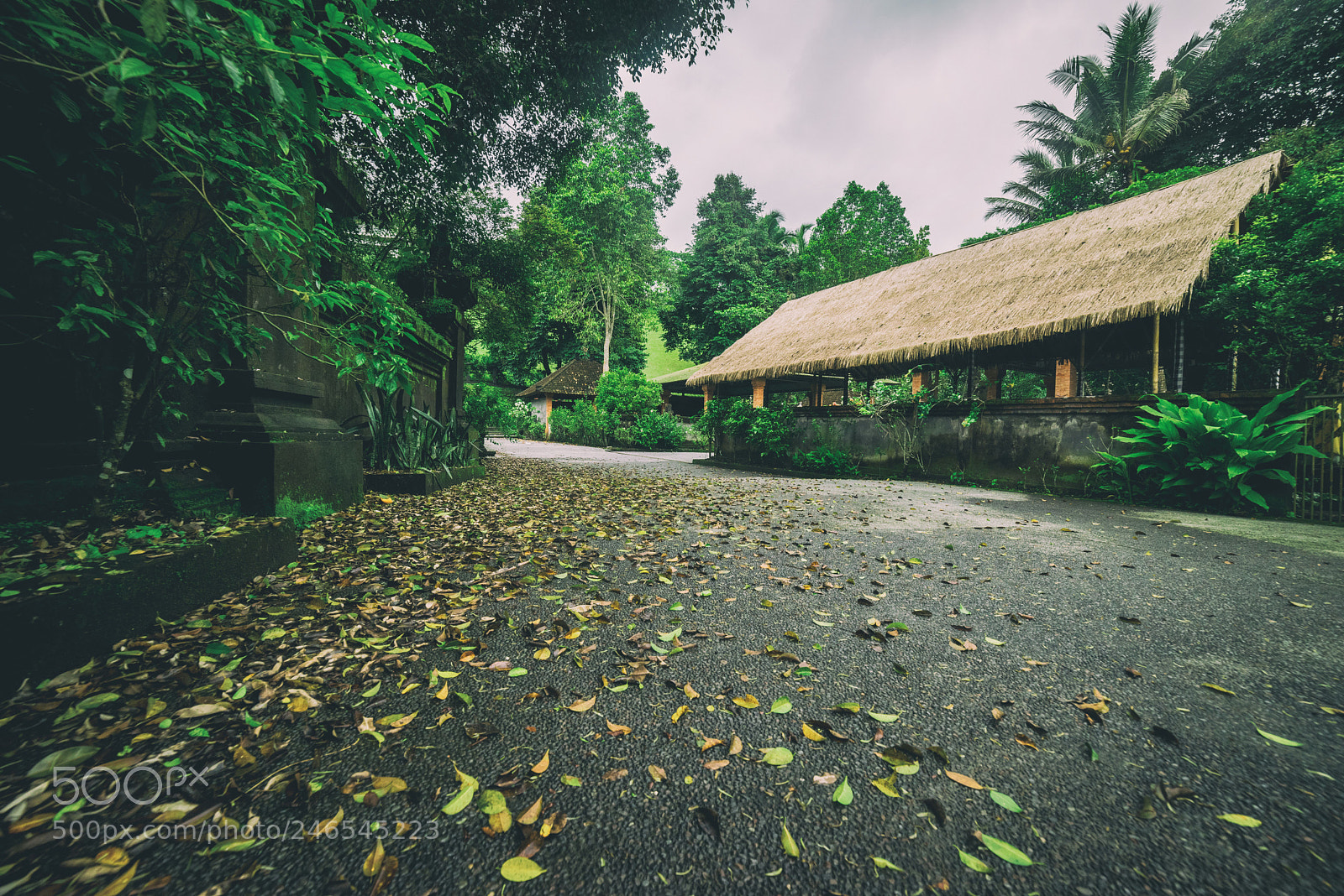 Nikon D810 sample photo. Pura tirta empul photography