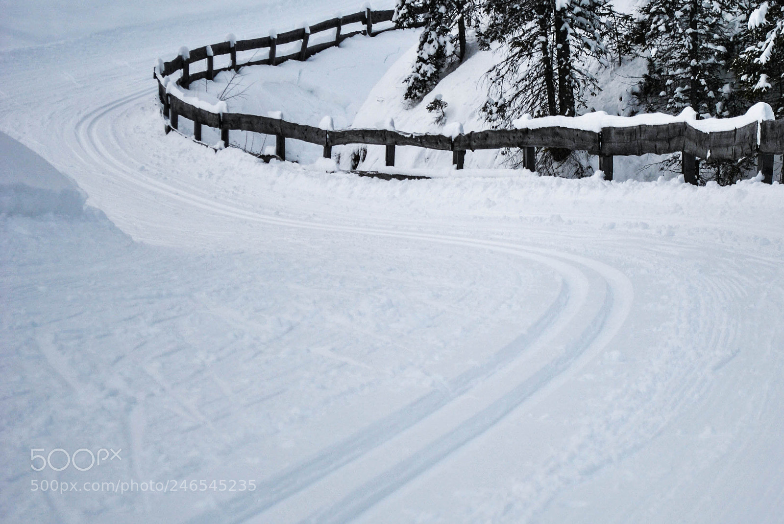 Nikon D3000 sample photo. Ski track in to photography