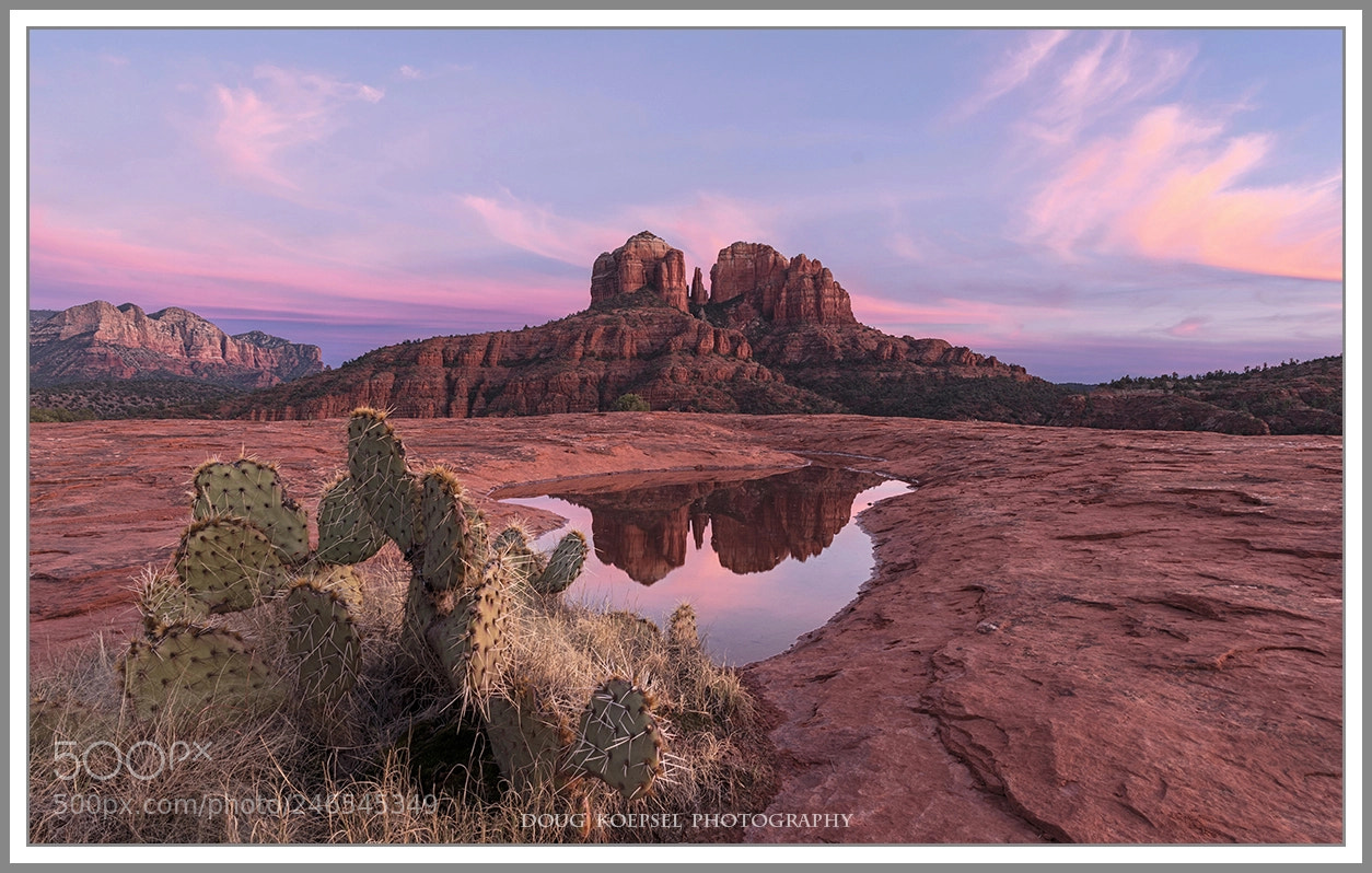 Nikon D810 sample photo. Sedona on the rocks photography