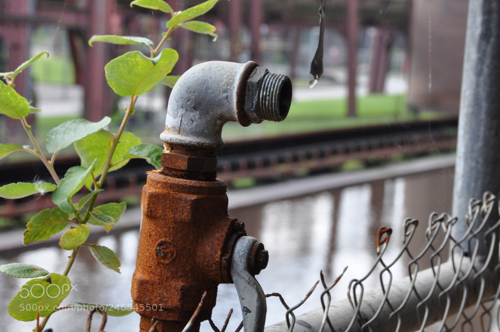 Nikon D90 sample photo. Ruhr photography
