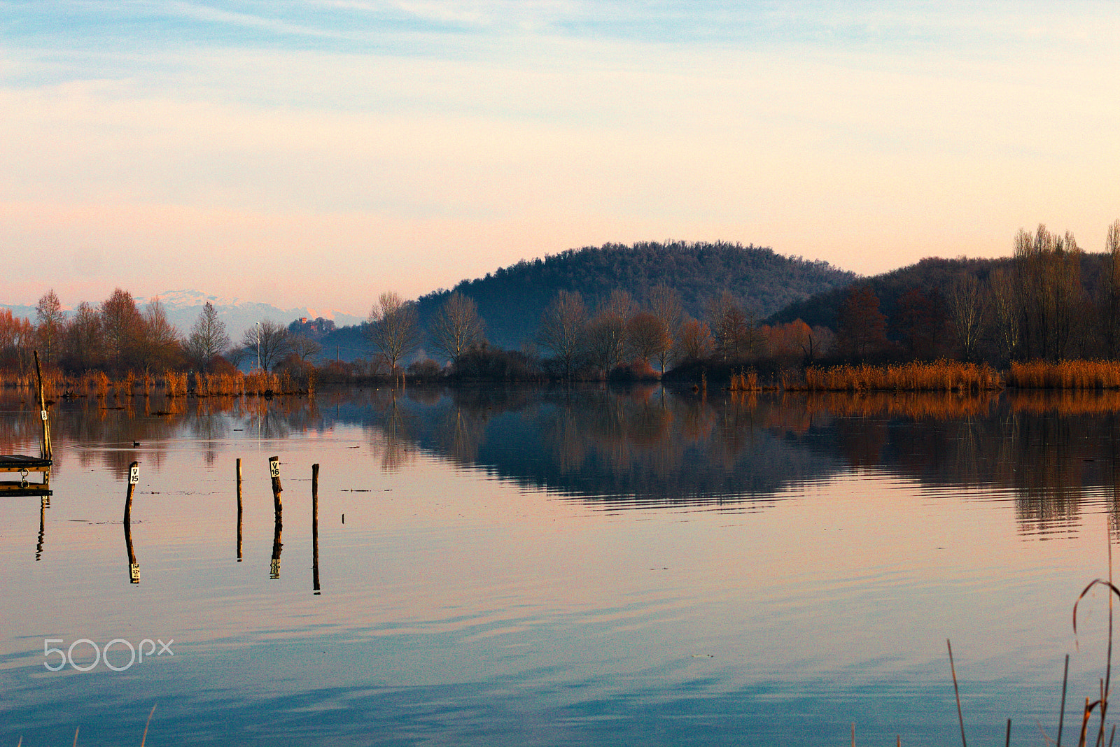 Canon EOS 70D + Canon EF 50mm F1.4 USM sample photo