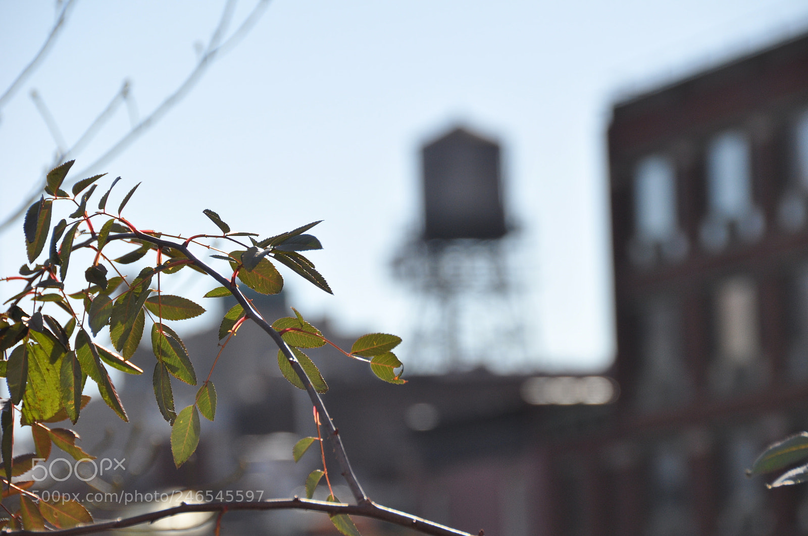 Nikon D90 sample photo. New york photography