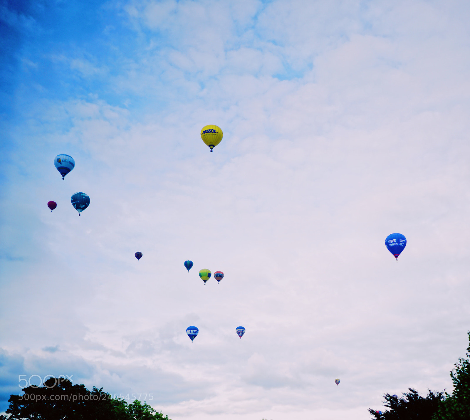 Sony a7R II sample photo. Untitled photography
