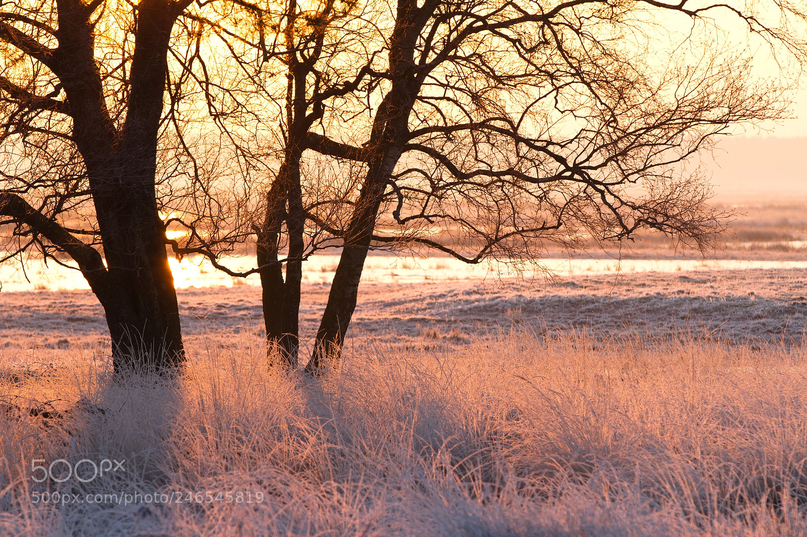 Canon EOS 7D sample photo. Dwingelderveld photography