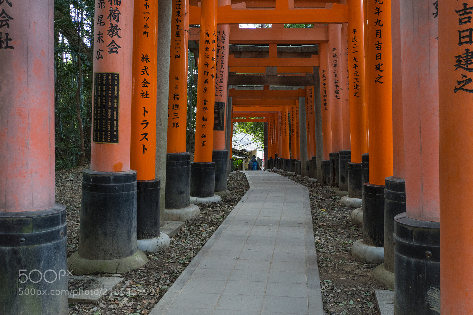 Nikon D7200 sample photo. Fushimi inari photography