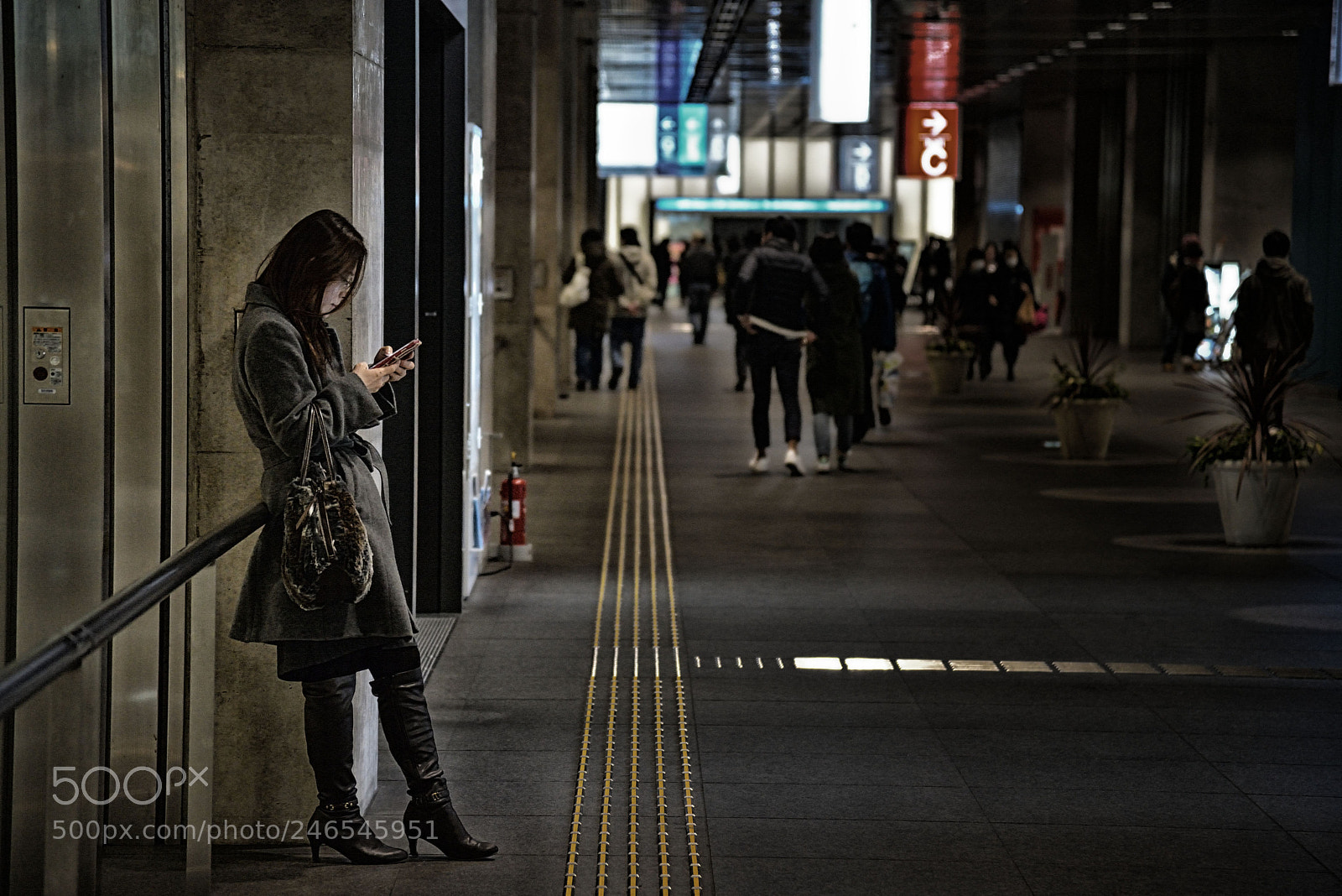 Nikon D600 sample photo. In the tokyo international photography