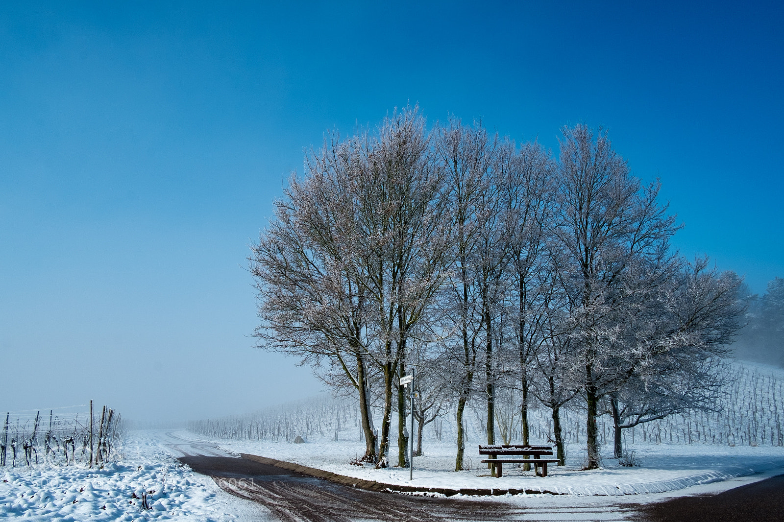 Fujifilm X-Pro1 sample photo. Winter morning photography