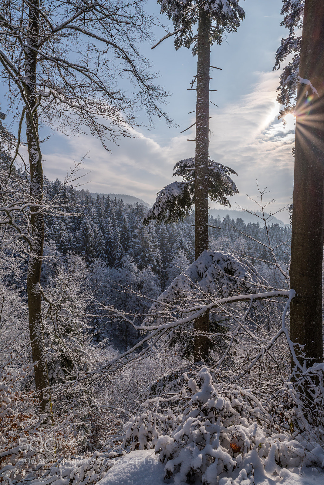 Pentax K-1 sample photo. Wintersonne photography
