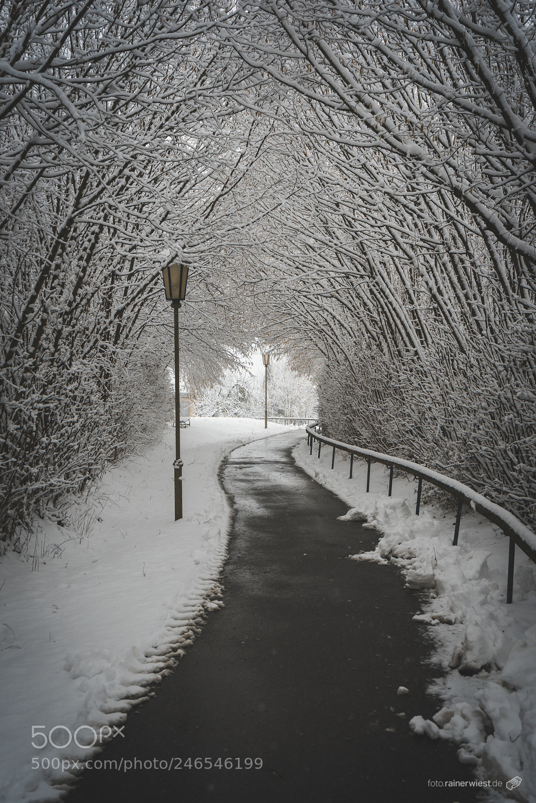 Sony a7 II sample photo. Pathway photography