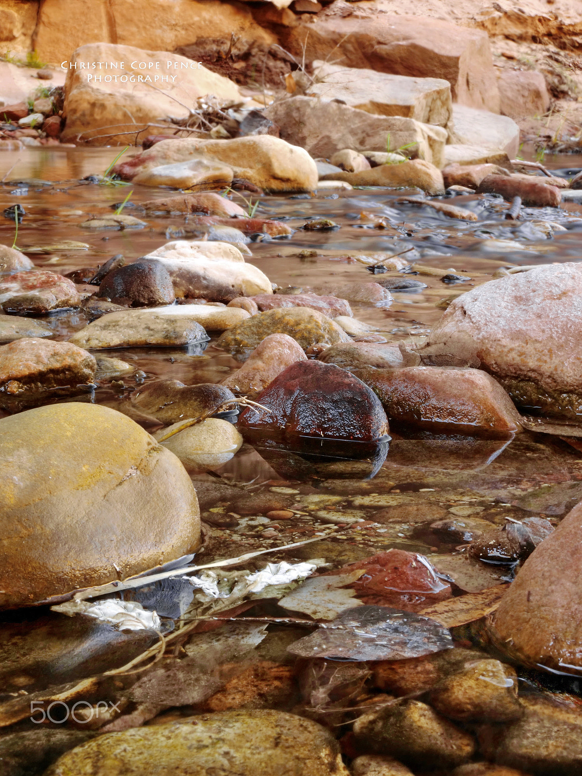 Panasonic Lumix DC-GH5 sample photo. Zion riverbed photography