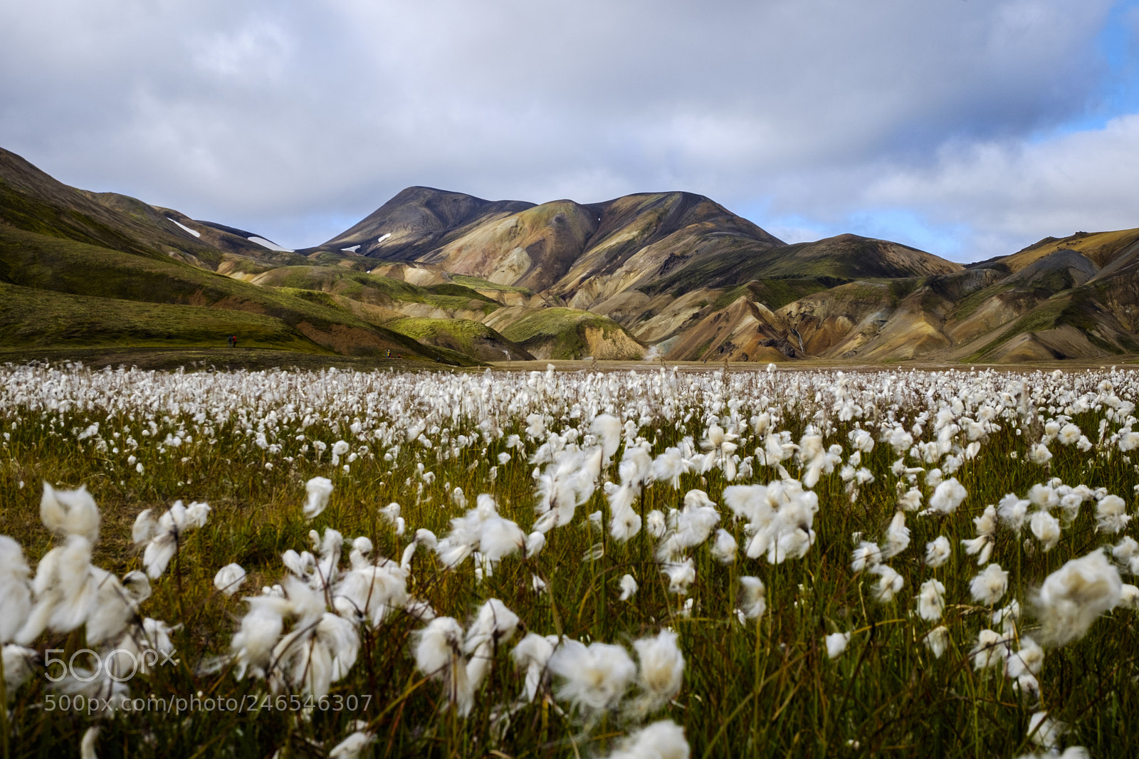 Fujifilm X-T10 sample photo. 11_iceland photography