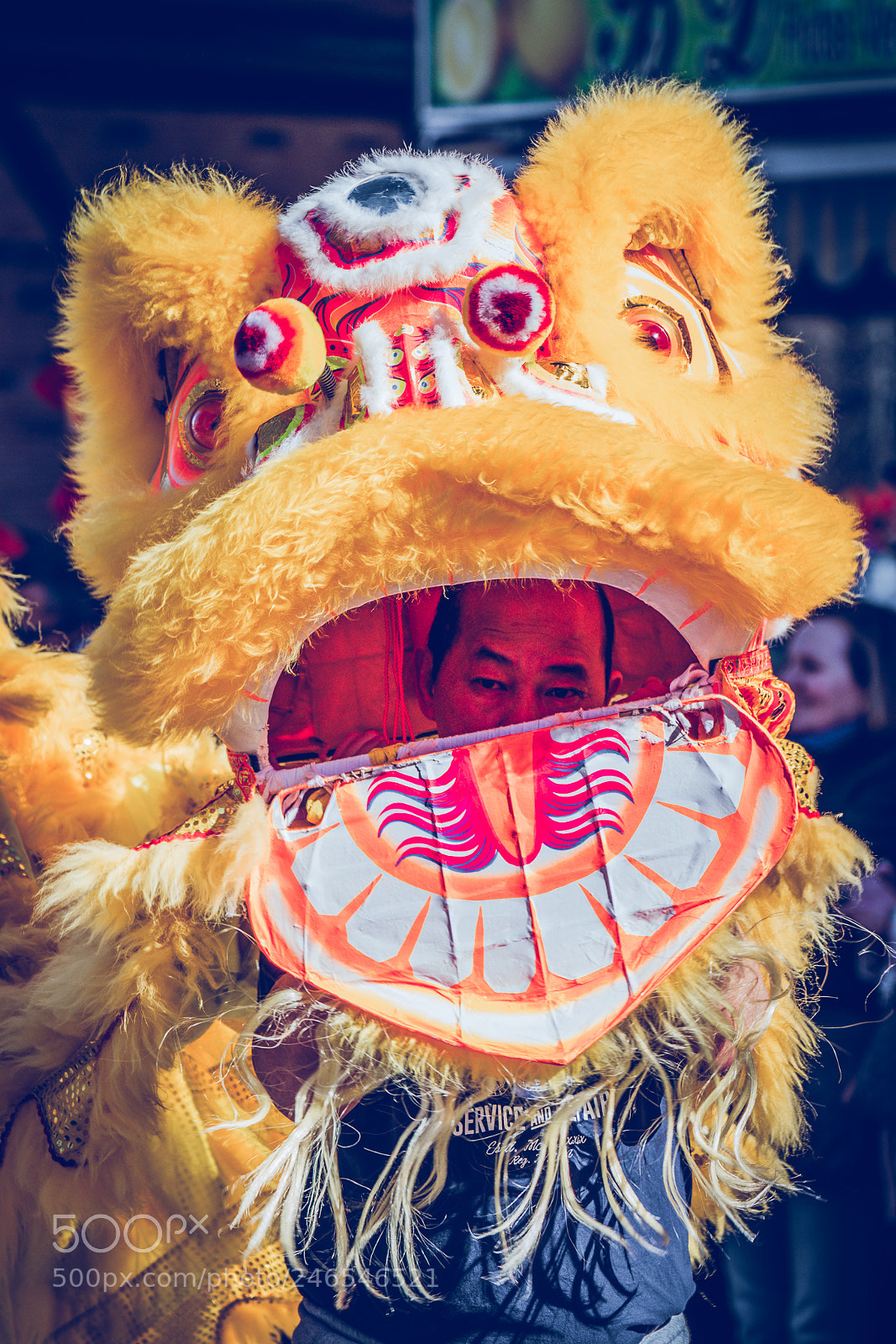Sony a7R II sample photo. Dragon - year of photography