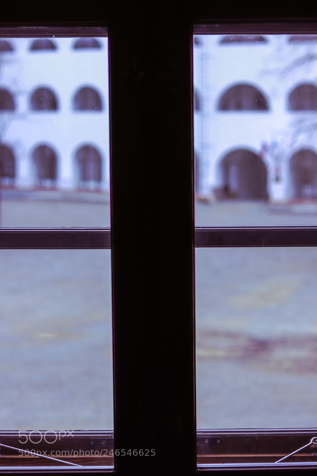 Canon EOS 77D (EOS 9000D / EOS 770D) sample photo. Img photography