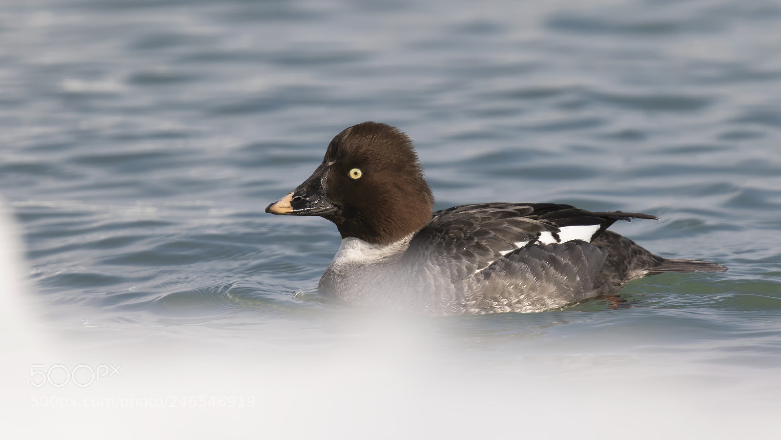 Canon EOS 7D Mark II sample photo. Along the edge of photography