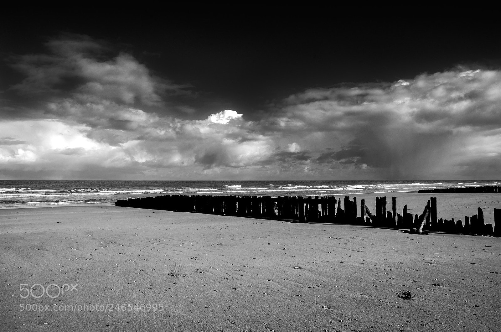 Pentax K-5 sample photo. Au bord de la photography