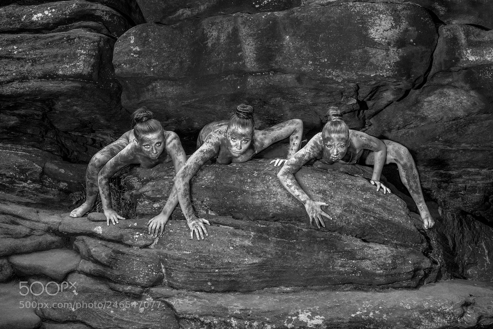 Nikon D800 sample photo. Rock creatures photography