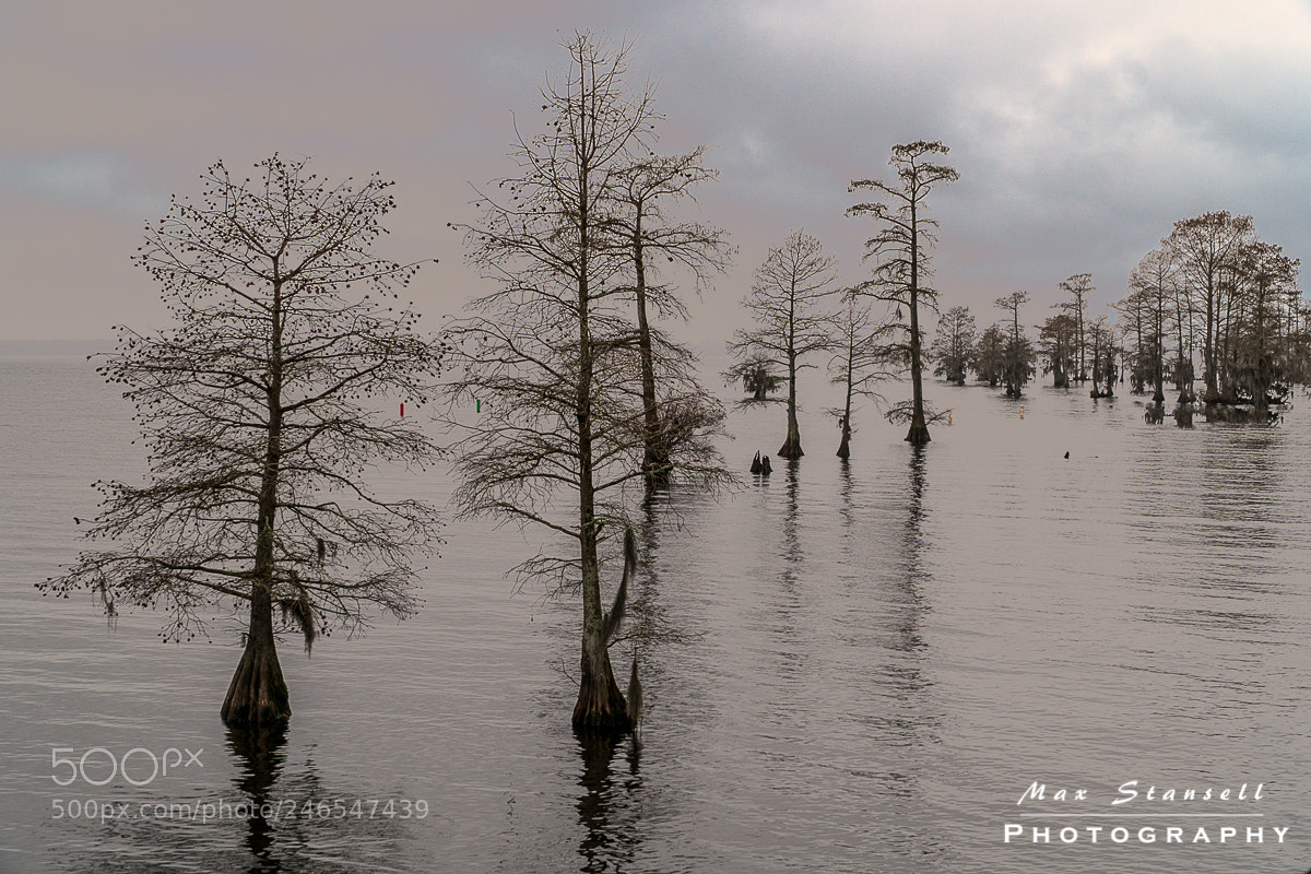 Sony a6300 sample photo. Chowan river edenton nc photography