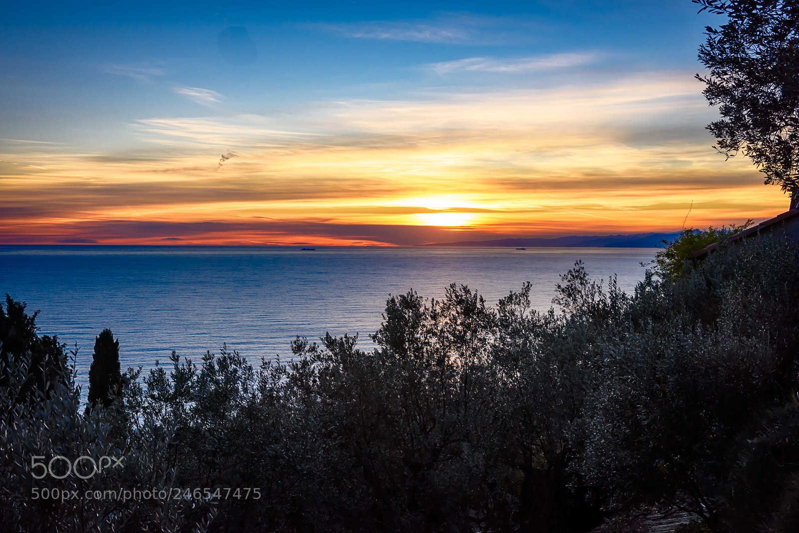 Nikon D810 sample photo. Sunset somewere near genova photography