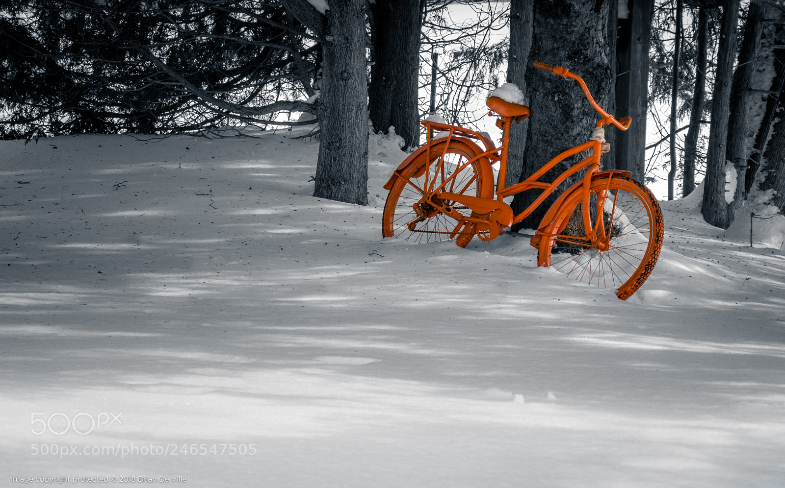 Nikon D7100 sample photo. Dutch dreams of summer photography