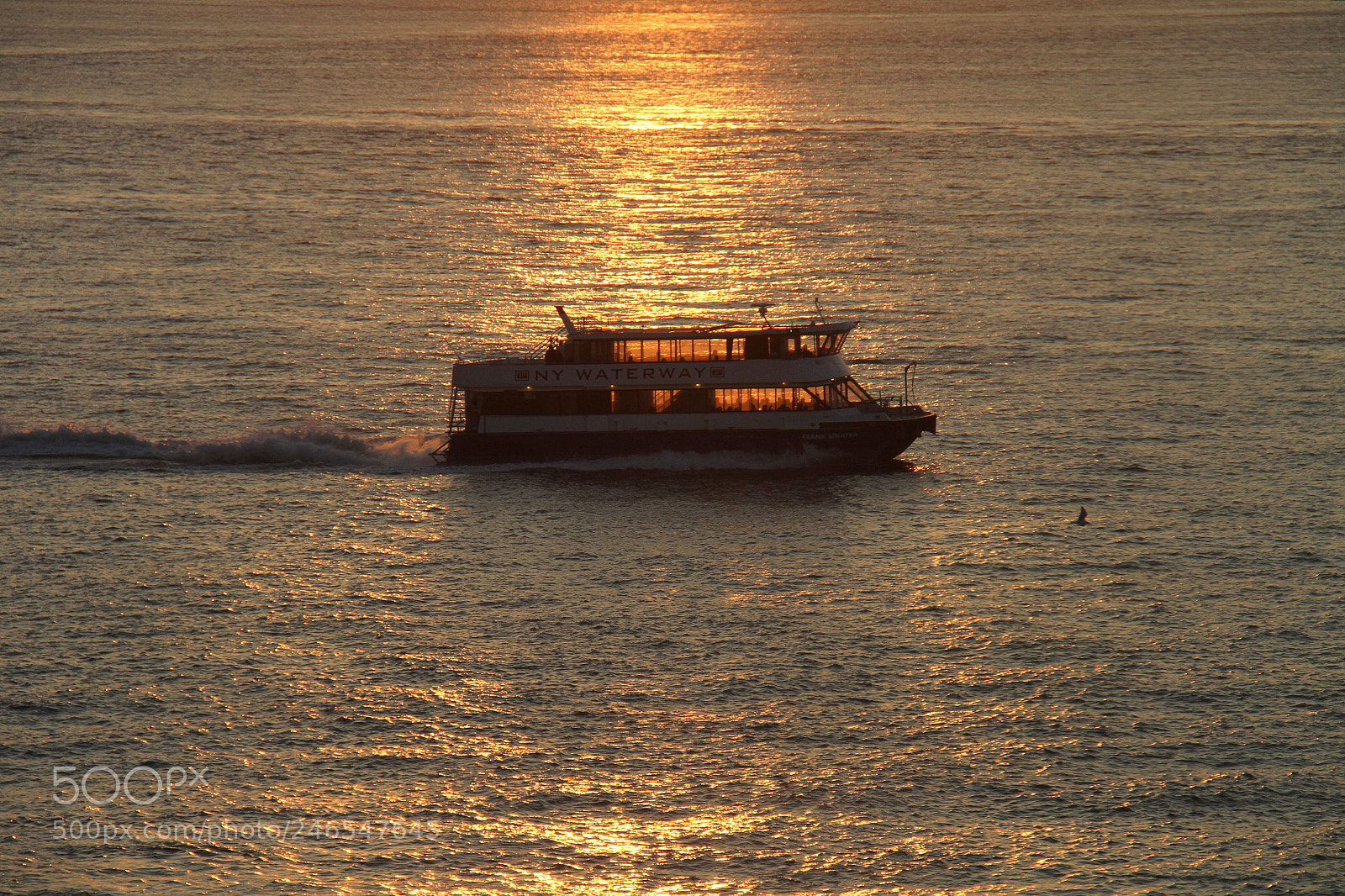 Canon EOS 7D sample photo. Untitled photography