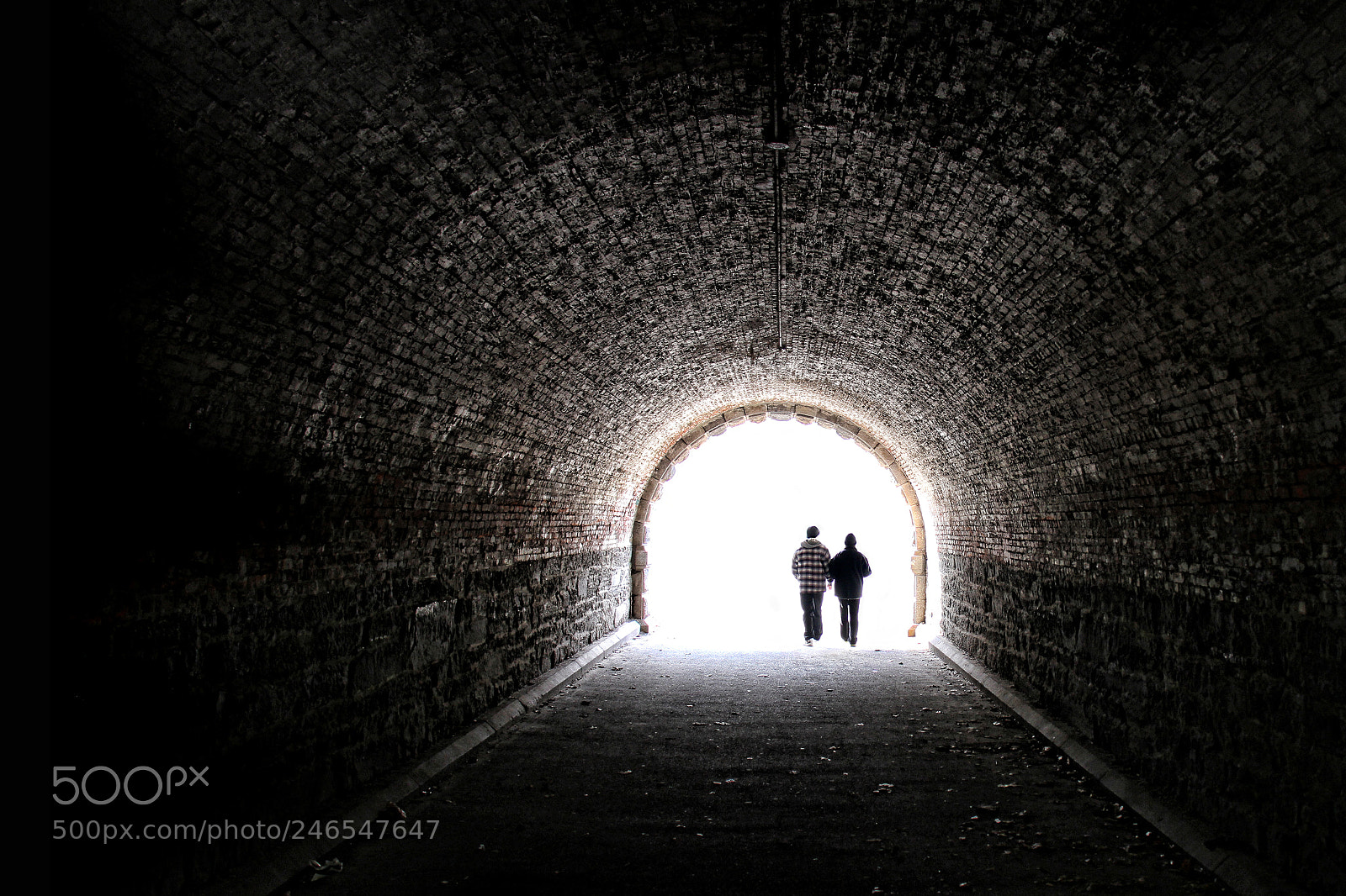Canon EOS 7D sample photo. Untitled photography