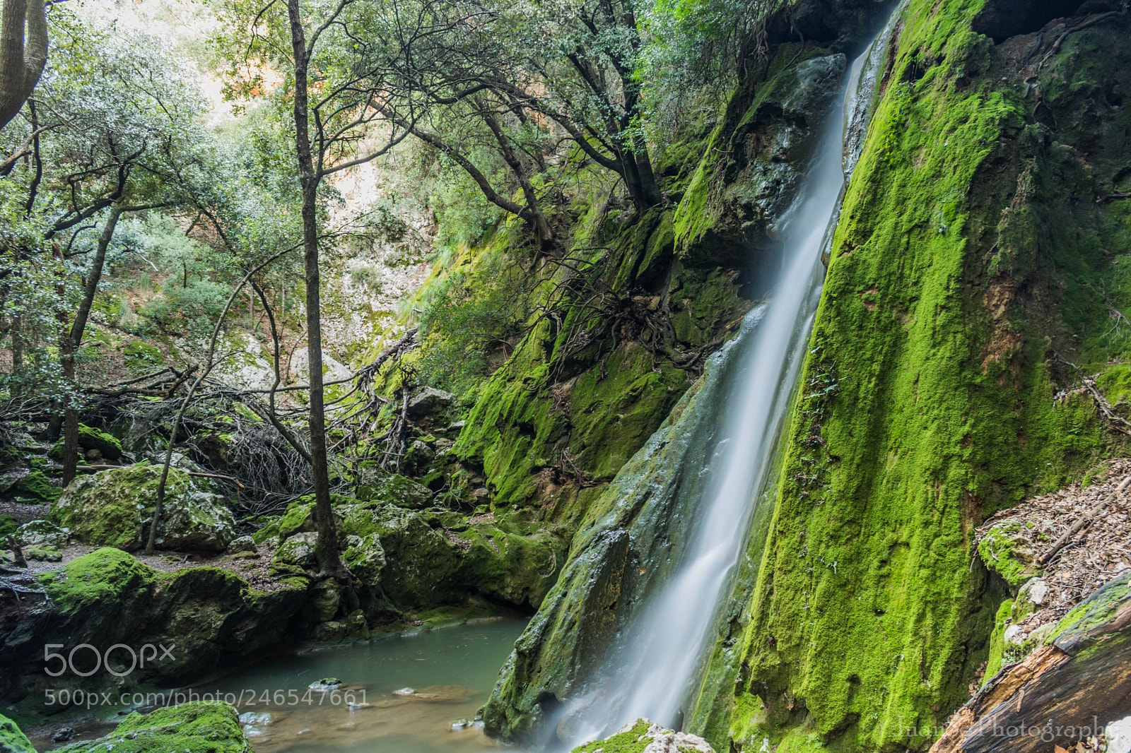 Canon EOS 750D (EOS Rebel T6i / EOS Kiss X8i) sample photo. Salt des freu photography