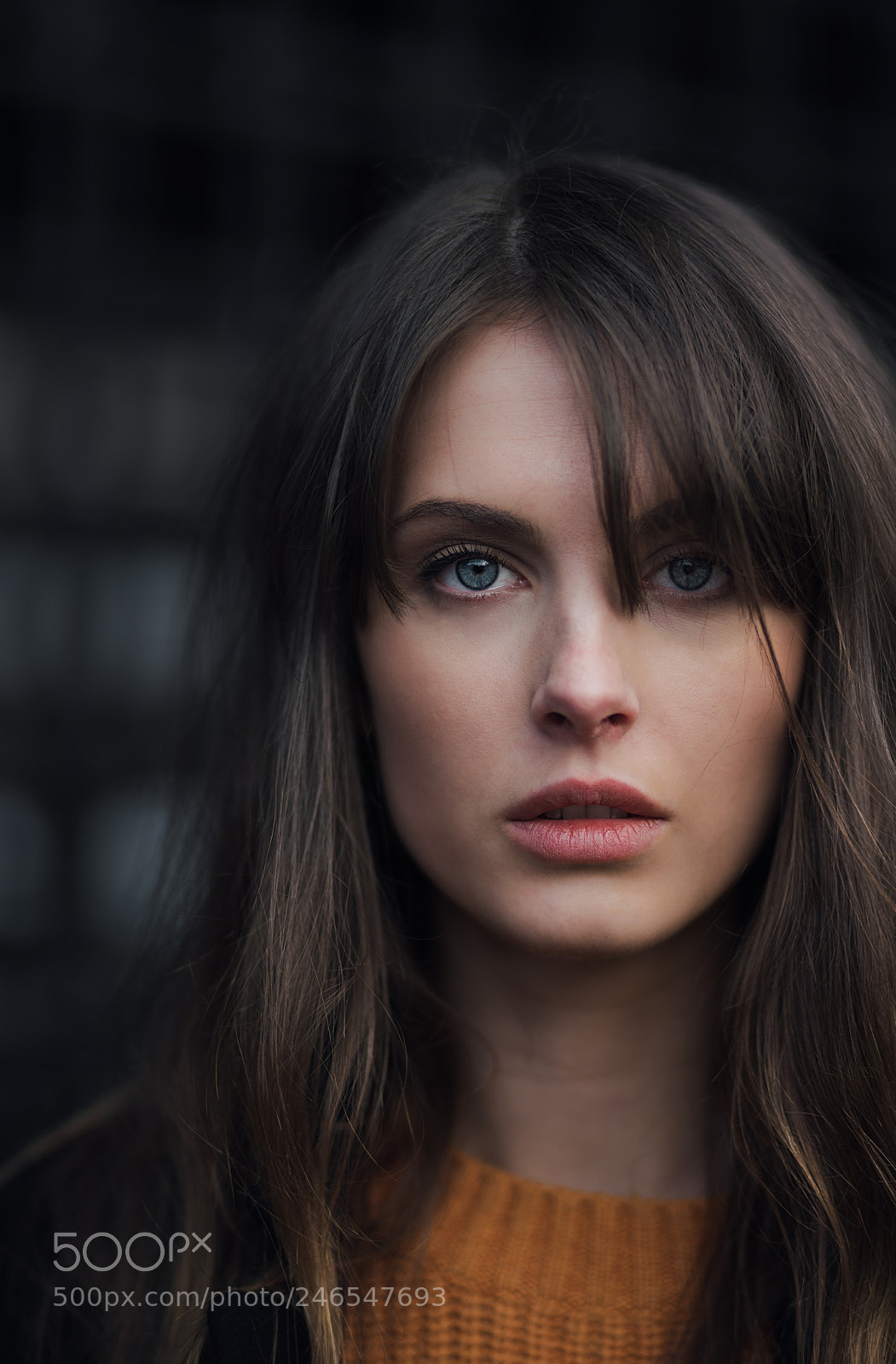 Sony a7R III sample photo. Untitled photography
