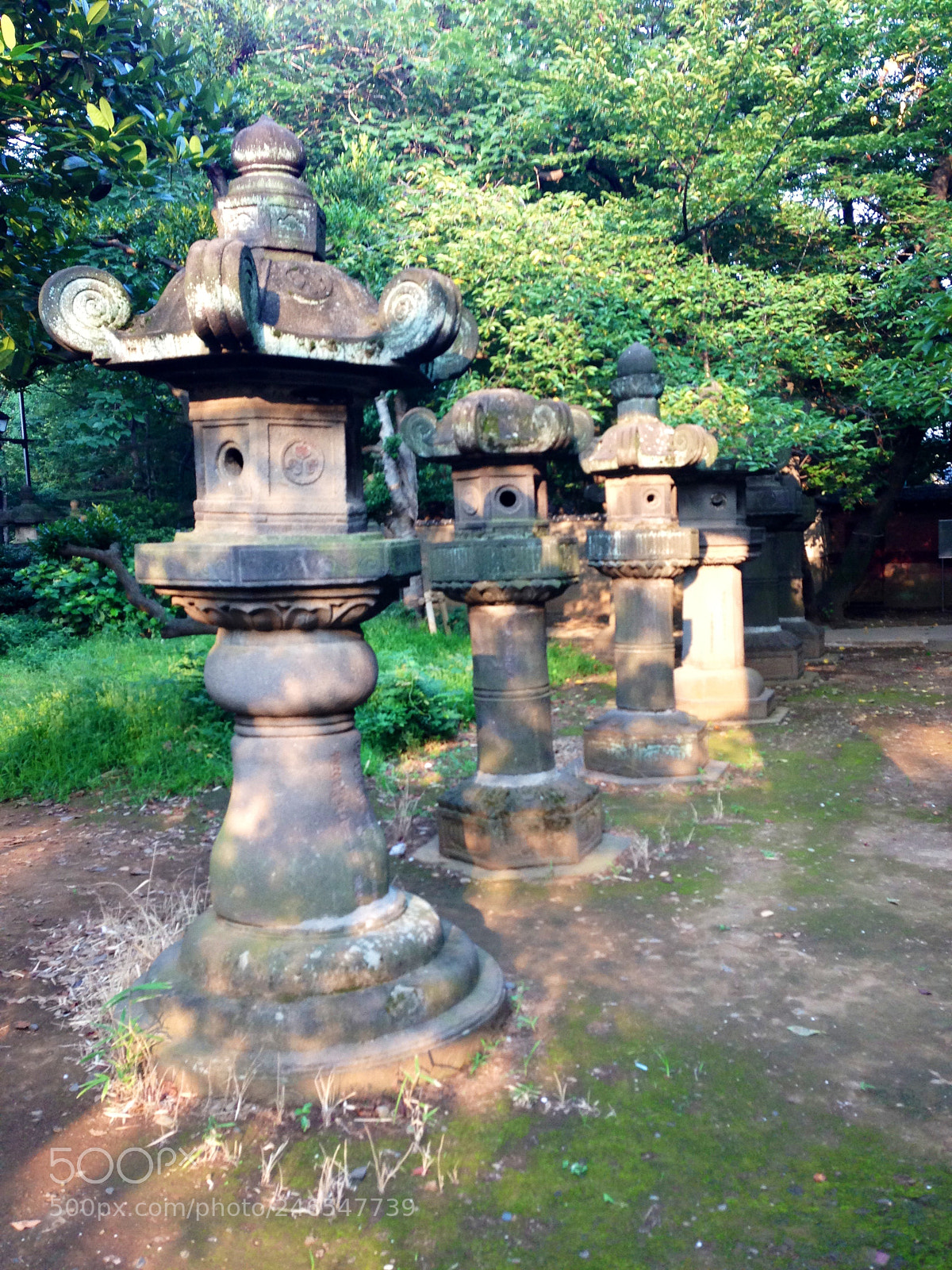 Apple iPhone 5 sample photo. Ueno park photography